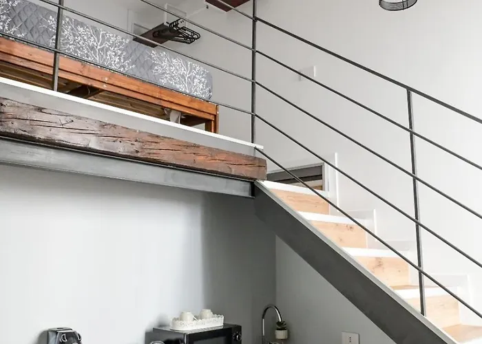 Raffaella Paola בארי